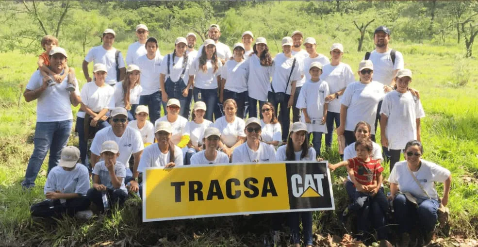 Reforestando la primavera
