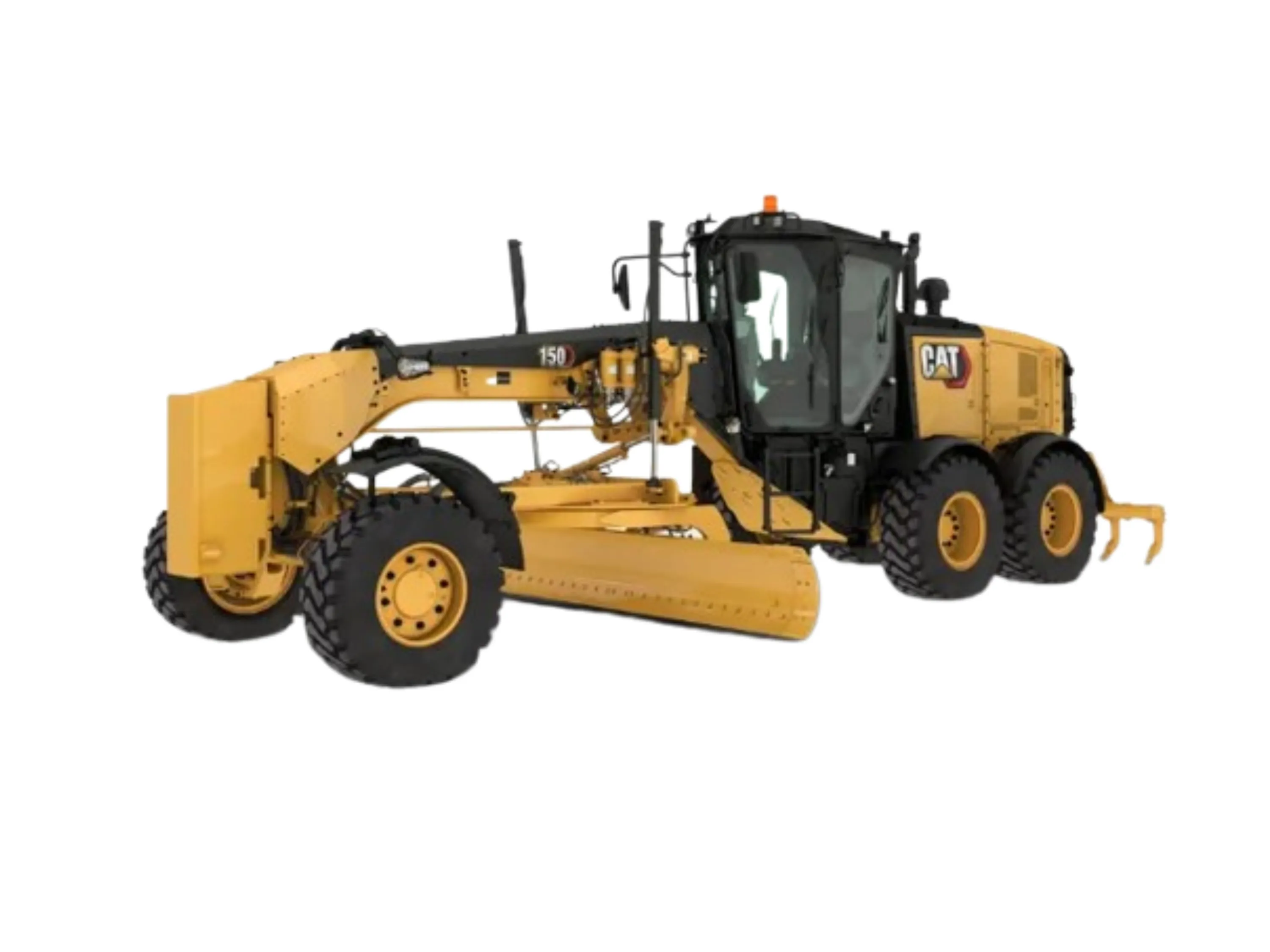 Cat 24