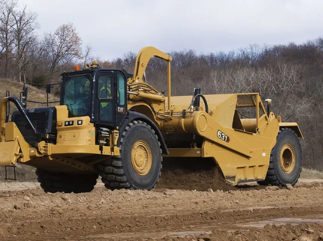 631G Cat