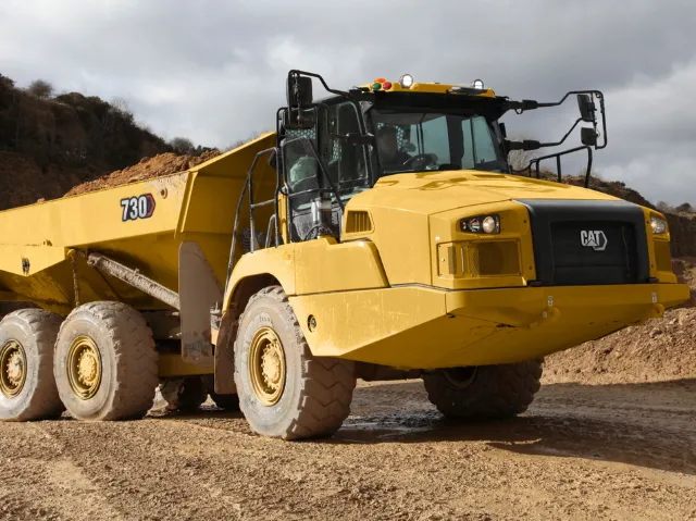 735 Cat