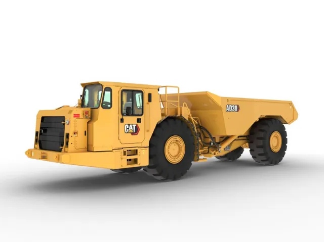 AD30 Cat