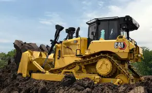 Bulldozers Cat