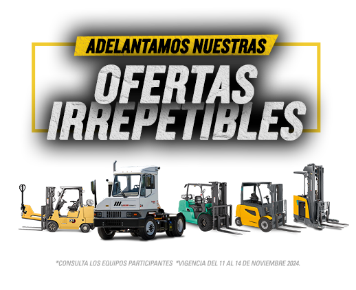 Ofertas irrepetibles buen fin